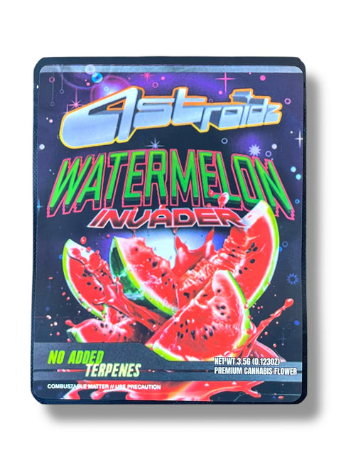 Watermelon Invader Mylar Bag with Box 3.5 Grams